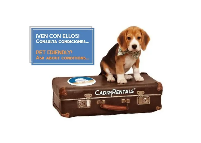 La Brujula By Cadizrentals *