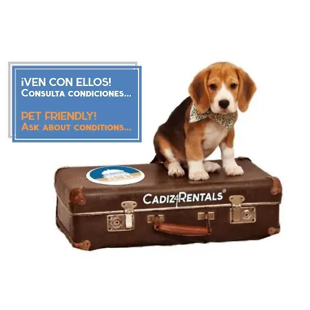 La Brujula By Cadizrentals *